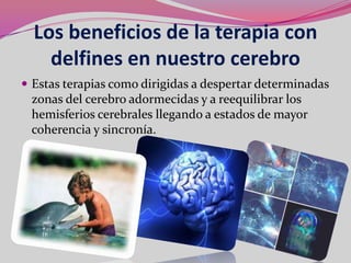 Los beneficios de la terapia con
    delfines en nuestro cerebro
 Estas terapias como dirigidas a despertar determinadas
 zonas del cerebro adormecidas y a reequilibrar los
 hemisferios cerebrales llegando a estados de mayor
 coherencia y sincronía.
 