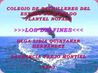COLEGIO DE BACHILLERES DEL
    ESTADO DE HIDALGO
      PLANTEL NOPALA

  >>>LOS DELFINES<<<
   OLGA LIDIA QUINTANAR
        HERNÁNDEZ

 LAURENCIA TREJO MONTIEL

          4203
 
