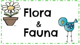 Flora
Fauna
&
 