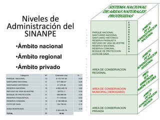 Niveles de
Administración del
SINANPE
•Ámbito nacional
•Ámbito regional
•Ámbito privado
PARQUE NACIONAL
SANTUARIO NACIONAL
SANTUARIO HISTORICO
RESERVA PAISAJISTA
REFUGIO DE VIDA SILVESTRE
RESERVA NACIONAL
RESERVA COMUNAL
BOSQUE DE PROTECCION
COTO DE CAZA
AREA DE CONSERVACION
REGIONAL
AREA DE CONSERVACION
MUNICIPAL( DEROGADO)
AREA DE CONSERVACION
PRIVADA
Z
O
N
A
R
E
S
E
R
V
A
D
A
A
r
e
a
s
c
o
m
p
l
e
m
e
n
t
a
r
i
a
s
S
I
N
A
N
P
E
Categoría Nº Extensión (ha) %
PARQUE NACIONAL 13 8 170 747.54 6.20
SANTUARIO NACIONAL 9 317 366.47 0.25
SANTUARIO HISTÓRICO 4 41 279.38 0.03
RESERVA NACIONAL 15 4 652 449.16 3.62
REFUGIO DE VIDA SILVESTRE 3 20775.11 0.02
BOSQUE DE PROTECCIÓN 6 389 986.99 0.30
RESERVA PAISAJÍSTICA 2 711 818.48 0.55
RESERVA COMUNAL 10 2 166 588.44 1.38
COTO DE CAZA 2 124 735.00 0.10
ZONA RESERVADA 13
2 924 455.79
2.74
TOTAL 77 19 52
 