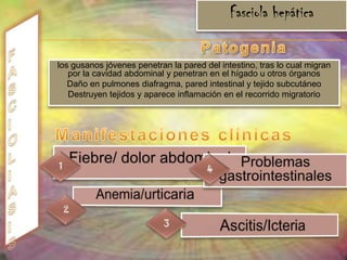 prurito intenso, insomnio y cansancio. Diagnóstico Tratamiento y prevención Torunda anal con superficie adhesiva .Examen microscópico de heces. pamoato de pirantel. mebendazol. La higiene personal adecuada, el cuidado de las uñas, el lavado cuidadoso de la ropa, de cama medidas  de control 