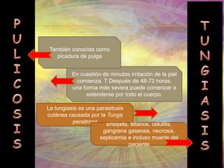 Conteo sanguíneo completo (CSC) con fórmula leucocitaria