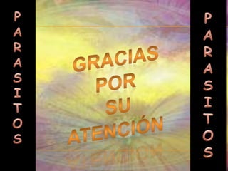 Examen de huevos y parásitos en las heces