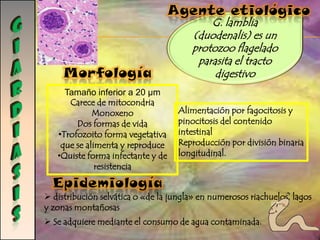La depresión de Yaracuy