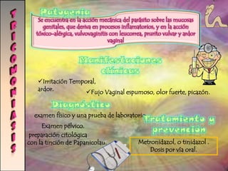 Prueba indirecta de anticuerpos inmunofluorescentes