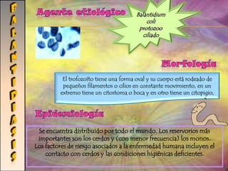 Prueba cutánea de MontenegroLEISHMANIASISPrevenciónTratamientoLos principales medicamentos utilizados para tratar la leishmaniasis son los compuestos que contienen antimonio y abarcan:Antimoniato de megluminaEstibogluconato de sodioAnfotericina BFluconazolPentamidinaLas picaduras se pueden prevenir:Usando repelentes de insectos