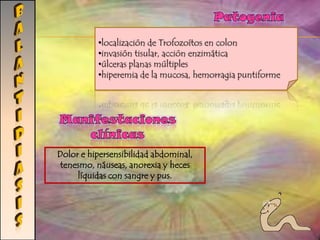 Instalando mallas en las ventanas