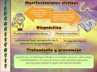 AMIBIASIsAgente etiológico EntamoebaHistolyticaMorfologíaSon organismos comensales Se presenta formas Trofozoítos es la forma activamente móvil de la especie  y Quiste: forma infectante.Metaquiste: tienen las mismas características que los quistes, por derivarse de estos durante el proceso de esenquistamiento en la luz del colon proximal darán origen a los trofozoítos, por lo que tienen una membrana más irregular y delgada.EpidemiologíaPresenta una distribución mundial. Aunque se encuentra en áreas frías como Alaska (EE.UU.), Canadá y Europa oriental, su incidencia es máxima en las regiones tropicales y subtropicales que presentan deficiencias sanitarias y aguas contaminadas.