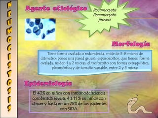 Diarrea severa con sangrado. 