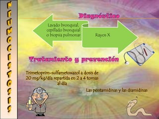 Agente etiológicoGIARDIASISG. lamblia (duodenalis) es un protozoo flagelado parasita el tracto digestivo MorfologíaTamaño inferior a 20 μmCarece de mitocondriaMonoxenoDos formas de vida Trofozoito forma vegetativa que se alimenta y reproduce