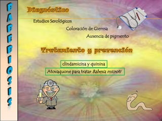 TRICOMONIASISAgente etiológicoTrichomonasvaginalisParásito, Protozoario Unicelular,  un tamaño 10-20 μm de longitud y una morfología piriforme Morfologíaprotozoo patógeno flagelado, Monoxeno, tiene una forma de vida en un ciclo vital el trofozoito.Humanos como reservorios.