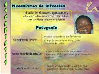 Depende de edad, salud, 