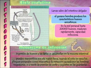 invasión tisular, acción enzimática