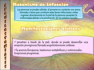 CRIPTOSPORIDIOSISAgente etiológico Cryptosporidium. C. parvum. C. hominis, C. muris, C. felis y C. meleagridis    MorfologíaOoquiste, que aparece con una estructura esférica o ligeramente ovoidal que mide de 4 a 6 micras de diametro. Tipos de ooquistes: ooquistes  no esporulados y esporulados, en los cuales en muchos casos es posible observar el esporozoito. 
