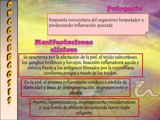  Biometría hemática – eosinofilia, el aspirado duodenal y la biopsia intestinal Tratamiento y prevención La combinación trimetoprim-sulfametoxazolTratamiento antirretroviral y el uso de fármacos alternativos como: pirimetamina + ácido fólico, metronidazol, roxitromicina, ciprofloxacina, nitaxozanida. 