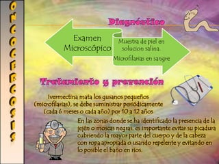 sarcocistoSIsAgente etiológicoSarcocystisSarcocystissuihominis  (cerdos) Sarcocystisbovihominis  (ganado) Sarcocystislindemani  (gatos o perros) MorfologíaPosee anillos polares, anillos apicales, conoide, micronemas, roptris, película, microporos, mitocondrias y gránulos de amilopectina. La fase infectante para el huésped definitiva es un quiste denominado, de manera específica, "sarcoquiste", que contiene decenas de cientos de parásitos en fase de merozoítos. Epidemiología Sarcocistosis extraintestinal se informa casos identificados de modo accidental 