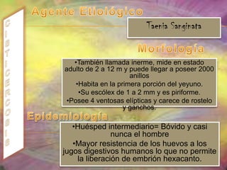Flatulencia, anorexia y debilitamientoDiagnóstico EndoscopiaTratamiento y prevención Examen coproparasitoscópico Técnica tricrómica. Metronidazol, furazolidona, yodoquinol y cotrimoxazol o nitazoxanida por cinco días.