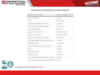 Supervivencia de Brucella en el medio ambiente
 