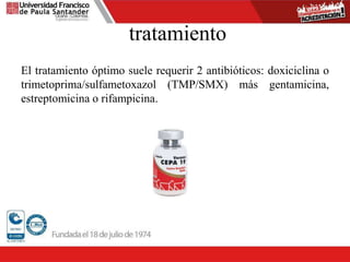 tratamiento
El tratamiento óptimo suele requerir 2 antibióticos: doxiciclina o
trimetoprima/sulfametoxazol (TMP/SMX) más gentamicina,
estreptomicina o rifampicina.
 