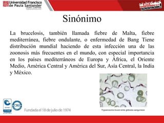 Sinónimo
La brucelosis, también llamada fiebre de Malta, fiebre
mediterránea, fiebre ondulante, o enfermedad de Bang Tiene
distribución mundial haciendo de esta infección una de las
zoonosis más frecuentes en el mundo, con especial importancia
en los países mediterráneos de Europa y África, el Oriente
Medio, América Central y América del Sur, Asía Central, la India
y México.
Trypanosoma brucei entre glóbulos sanguíneos
 