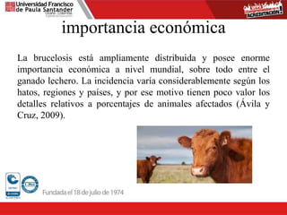 importancia económica
La brucelosis está ampliamente distribuida y posee enorme
importancia económica a nivel mundial, sobre todo entre el
ganado lechero. La incidencia varía considerablemente según los
hatos, regiones y países, y por ese motivo tienen poco valor los
detalles relativos a porcentajes de animales afectados (Ávila y
Cruz, 2009).
 