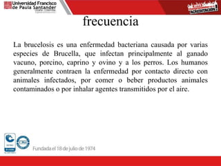 frecuencia
La brucelosis es una enfermedad bacteriana causada por varias
especies de Brucella, que infectan principalmente al ganado
vacuno, porcino, caprino y ovino y a los perros. Los humanos
generalmente contraen la enfermedad por contacto directo con
animales infectados, por comer o beber productos animales
contaminados o por inhalar agentes transmitidos por el aire.
 