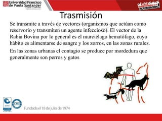 LA RABIA EN BOVINOS | PPTX