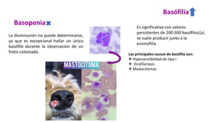 LEUCOCITOS FORMULA ROJA EN PATOLOGIA CLINICA | PDF