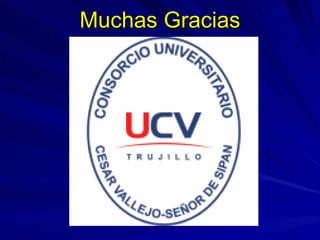 Muchas Gracias 