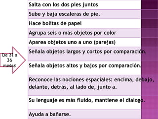 Salta con los dos pies juntos
          Sube y baja escaleras de pie.
          Hace bolitas de papel
          Agrupa seis o más objetos por color
          Aparea objetos uno a uno (parejas)
          Señala objetos largos y cortos por comparación.
De 31 a
  36
meses     Señala objetos altos y bajos por comparación.

          Reconoce las nociones espaciales: encima, debajo,
          delante, detrás, al lado de, junto a.

          Su lenguaje es más fluido, mantiene el dialogo.

          Ayuda a bañarse.
 