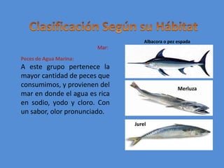 Clasificación Según su HábitatAlbacora o pez espadaMar:Peces de Agua Marina:A este grupo pertenece la mayor cantidad de peces que consumimos, y provienen del mar en donde el agua es rica en sodio, yodo y cloro. Con un sabor, olor pronunciado.   MerluzaJurel