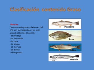 Clasificación  contenido GrasoBlancos:Su contenido graso máximo es del 2% son fácil digestión y en este grupo podemos encontrar -El abadejo-La pescadilla-La raya-La lubina-La merluza-La platija -El lenguado. PescadillaRayaLubinaMerluza