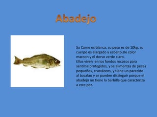 AbadejoSu Carne es blanca, su peso es de 10kg, su cuerpo es alargado y esbelto.De color maroon y el dorso verde claro.Ellos viven  en los fondos rocosos para sentirse protegidos, y se alimentas de peces pequeños, crustáceos, y tiene un parecido al bacalao y se pueden distinguir porque el abadejo no tiene la barbilla que caracteriza a este pez.