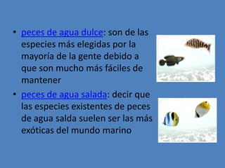peces de agua dulce:son de las especies más elegidas por la mayoría de la gente debido a que son mucho más fáciles de mantenerpeces de agua salada: decir que las especies existentes de peces de agua salda suelen ser las más exóticas del mundo marino