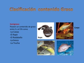 Clasificación  contenido GrasoSemigraso:Poseen un contenido de grasa entre 2 y el 5% como-La Carpa-El Rape-El Rodaballo-La breca-La TruchaCarpaRapeBrecaTrucha