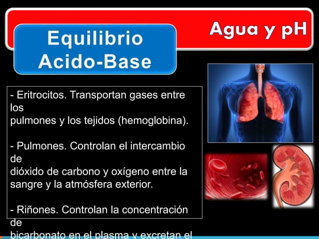 Agua y pH Bioquimica