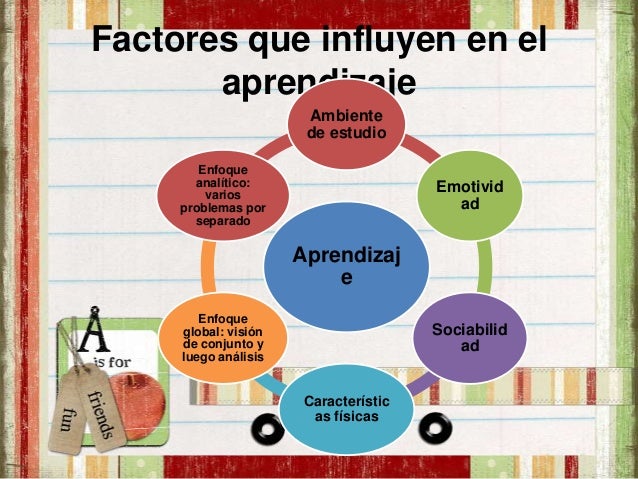 La programación en: La organización del Trabajo Intelectual.