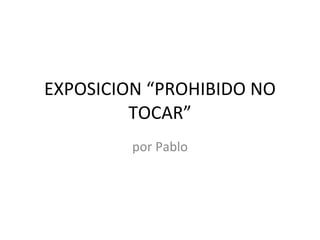 EXPOSICION “PROHIBIDO NO TOCAR” por Pablo 