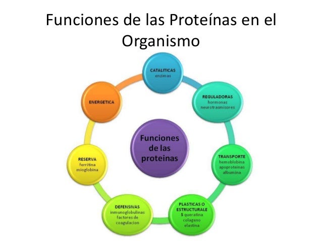 Proteinas Proteinas