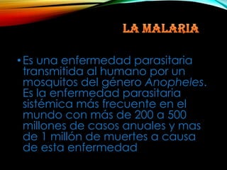 • Es una enfermedad parasitaria
transmitida al humano por un
mosquitos del género Anopheles.
Es la enfermedad parasitaria
sistémica más frecuente en el
mundo con más de 200 a 500
millones de casos anuales y mas
de 1 millón de muertes a causa
de esta enfermedad

 