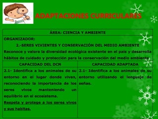 ADAPTACIONES CURRICULARES
ÁREA: CIENCIA Y AMBIENTE
ORGANIZADOR:
2.-SERES VIVIENTES Y CONSERVACIÓN DEL MEDIO AMBIENTE
Reconoce y valora la diversidad ecológica existente en el país y desarrolla
hábitos de cuidado y protección para la conservación del medio ambiente
CAPACIDAD DEL DCN CAPACIDAD ADAPTADA
2.1- Identifica a los animales de su
entorno en el lugar donde viven,
reconociendo la importancia de los
seres vivos manteniendo un
equilibrio en el ecosistema.
Respeta y protege a los seres vivos
y sus habitas.
2.1- Identifica a los animales de su
entorno utilizando el lenguaje de
señas.
 