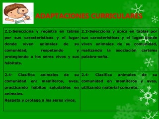 ADAPTACIONES CURRICULARES
2.2-Selecciona y registra en tablas
por sus características y el lugar
donde viven animales de su
comunidad, respetando y
protegiendo a los seres vivos y sus
hábitats.
2.2-Selecciona y ubica en tablas por
sus características y el lugar donde
viven animales de su comunidad,
realizando la asociación carteles
palabra-seña.
2.4- Clasifica animales de su
comunidad en: mamíferos, aves,
practicando hábitos saludables en
animales.
Respeta y protege a los seres vivos.
2.4- Clasifica animales de su
comunidad en mamíferos y aves,
utilizando material concreto.
 