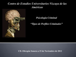 Psicología Criminal
“Tipos de Perfiles Criminales”
CD. Obregón Sonora a 15 de Noviembre de 2012
 