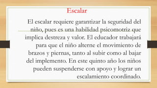 Escalar
El escalar requiere garantizar la seguridad del
niño, pues es una habilidad psicomotriz que
implica destreza y valor. El educador trabajará
para que el niño alterne el movimiento de
brazos y piernas, tanto al subir como al bajar
del implemento. En este quinto año los niños
pueden suspenderse con apoyo y lograr un
escalamiento coordinado.

 