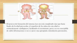 • El proceso de formación del sistema óseo no está completado sino que hasta
finales de la edad preescolar, el esqueleto de los niños de esta edad es
eminentemente cartilaginoso, facilitando el crecimiento, pero a su vez susceptible
de sufrir deformaciones si no se ejerce una apropiada estimulación psicomotriz.

 