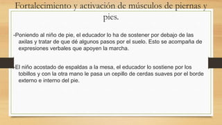 Fortalecimiento y activación de músculos de piernas y
pies.
-Poniendo al niño de pie, el educador lo ha de sostener por debajo de las
axilas y tratar de que dé algunos pasos por el suelo. Esto se acompaña de
expresiones verbales que apoyen la marcha.
-El niño acostado de espaldas a la mesa, el educador lo sostiene por los
tobillos y con la otra mano le pasa un cepillo de cerdas suaves por el borde
externo e interno del pie.

 