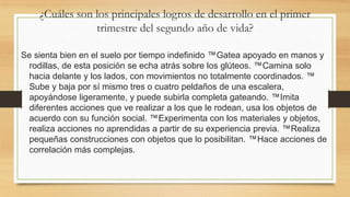 ¿Cuáles son los principales logros de desarrollo en el primer
trimestre del segundo año de vida?
Se sienta bien en el suelo por tiempo indefinido ™Gatea apoyado en manos y
rodillas, de esta posición se echa atrás sobre los glúteos. ™Camina solo
hacia delante y los lados, con movimientos no totalmente coordinados. ™
Sube y baja por sí mismo tres o cuatro peldaños de una escalera,
apoyándose ligeramente, y puede subirla completa gateando. ™Imita
diferentes acciones que ve realizar a los que le rodean, usa los objetos de
acuerdo con su función social. ™Experimenta con los materiales y objetos,
realiza acciones no aprendidas a partir de su experiencia previa. ™Realiza
pequeñas construcciones con objetos que lo posibilitan. ™Hace acciones de
correlación más complejas.

 