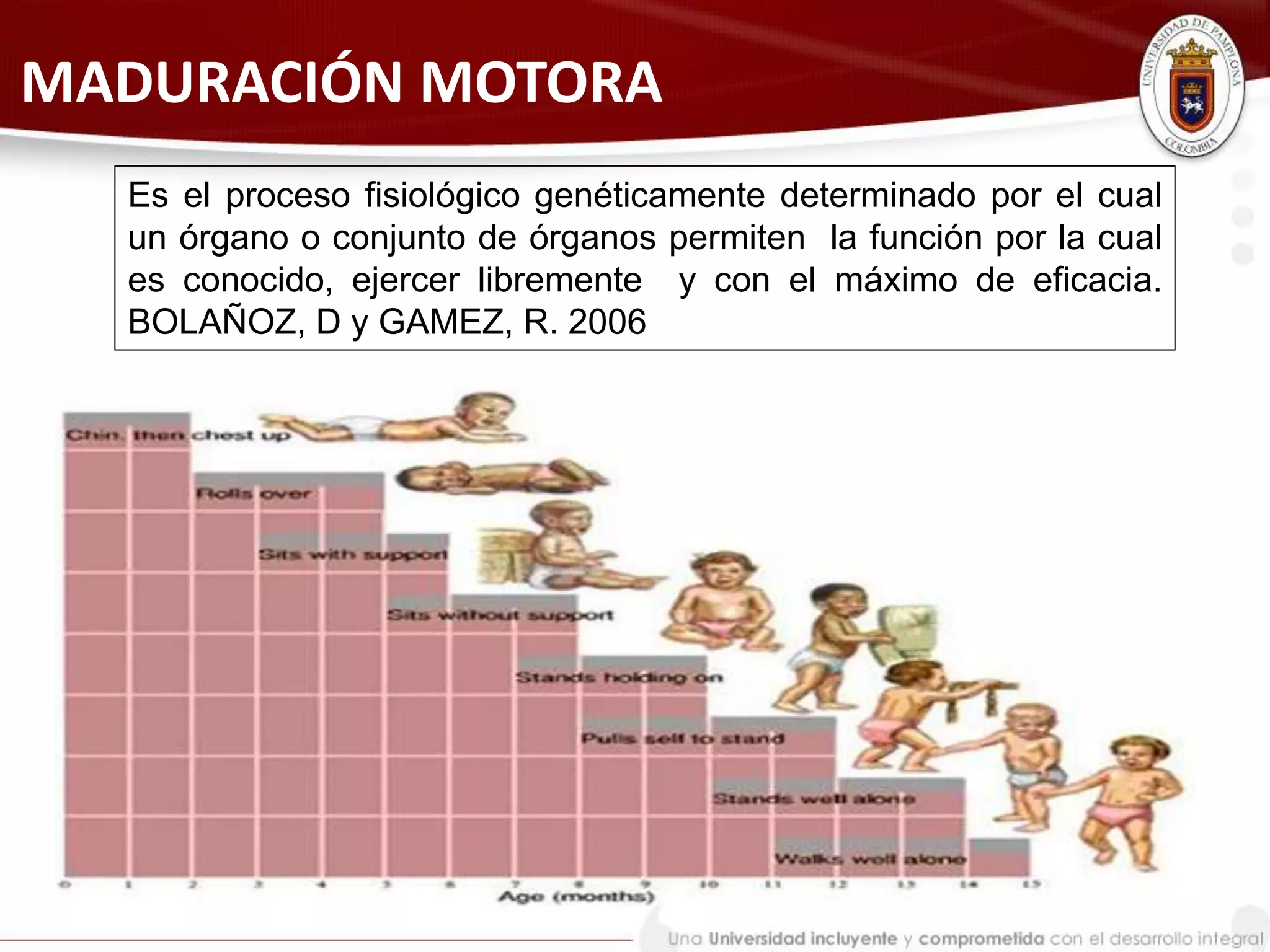 exposicion-psicomotricidad-y-desarrollo-motor-pptx