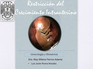 Restricción del
Crecimiento Intrauterino




       Ginecología y Obstetricia
     Dra. May Milena Fierros Adame
     • Luis Javier Rivera Morales
 