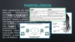 PUERTOS LÓGICOS 
ESTA ASIGNACIÓN DE PUERTOS PERMITE A UNA 
MÁQUINA ESTABLECER SIMULTÁNEAMENTE 
DIVERSAS PROTOCOLOS 
CONEXIONES CON MÁQUINAS 
DISTINTAS, YA QUE TODOS LOS PAQUETES QUE SE 
: 
RECIBEN TIENEN LA MISMA DIRECCIÓN, PERO VAN 
DIRIGIDOS • TCP 
A PUERTOS DIFERENTES. 
LOS NÚMEROS DE PUERTO SE INDICAN MEDIANTE 
UNA PALABRA, • UDP 
2 BYTES (16 BITS), POR LO QUE 
EXISTEN 65535. 
PODEMOS USAR CUALQUIERA DE ELLOS PARA 
CUALQUIER PROTOCOLO, NO OBTANTE EXISTE UN 
ORGANO, LA IANA, ENCARGADO DE LA ASIGNACIÓN 
DE LOS MISMOS. 
 